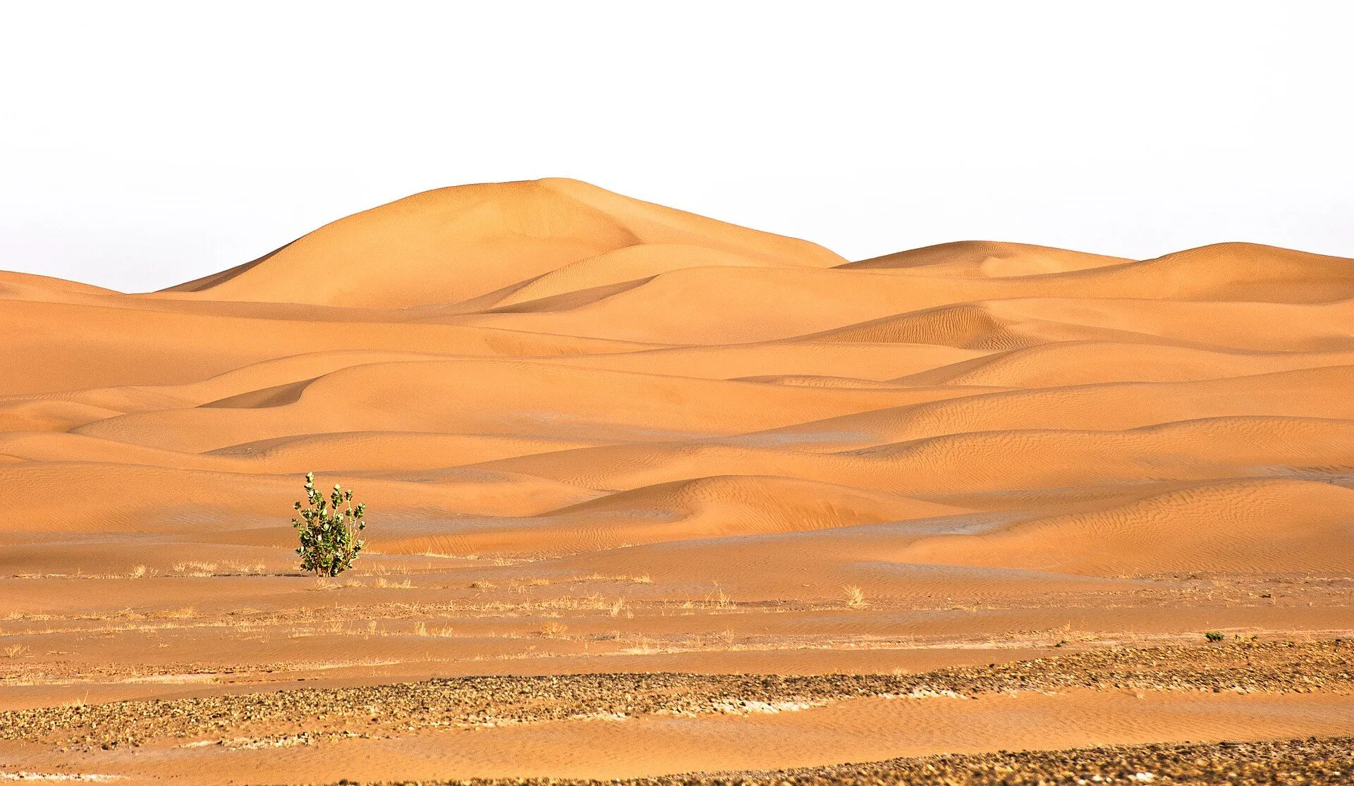 Erg Chigaga — Erg Chigaga dunes