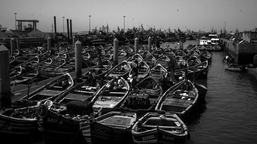 Sortie en bateau au départ d'Essaouira — Activités aquatiques